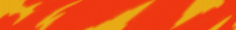 Zenit SMP banner